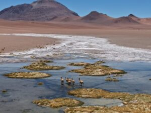 Paisagem de alta montanha no Deserto do Atacama